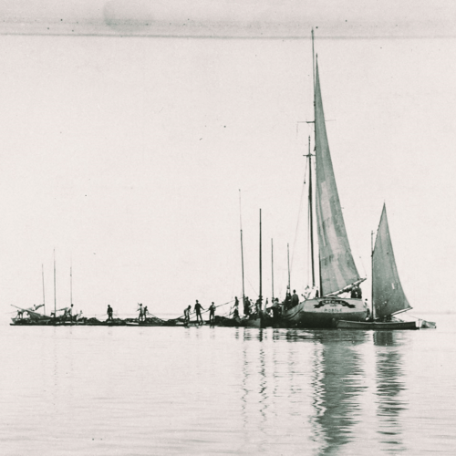 We don't charge fees, we invest.